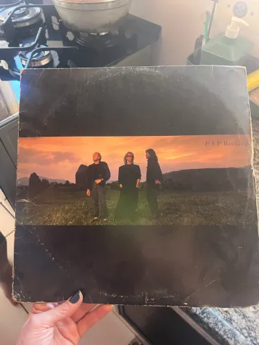 Disco vinil Bee Gees (1987)