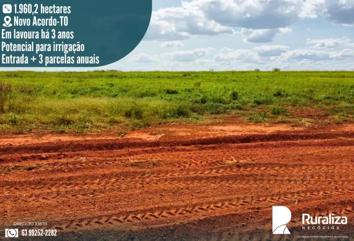 800 HA PLANTANDO | ENTRADA + 3 PARCELAS