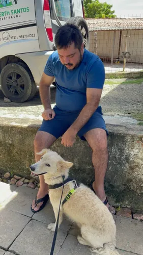 Adestrador de cães