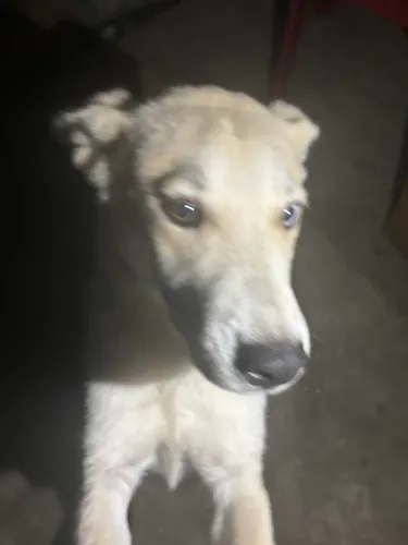 Doação responsável 