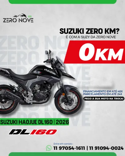 SUZUKI HAOJUE DL 160 | 2026