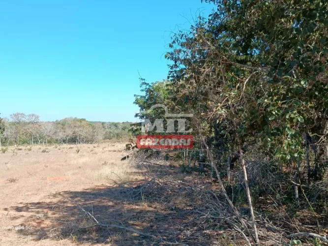 Fazenda 100 Alqueires (485 hectares) Guiratinga - MT