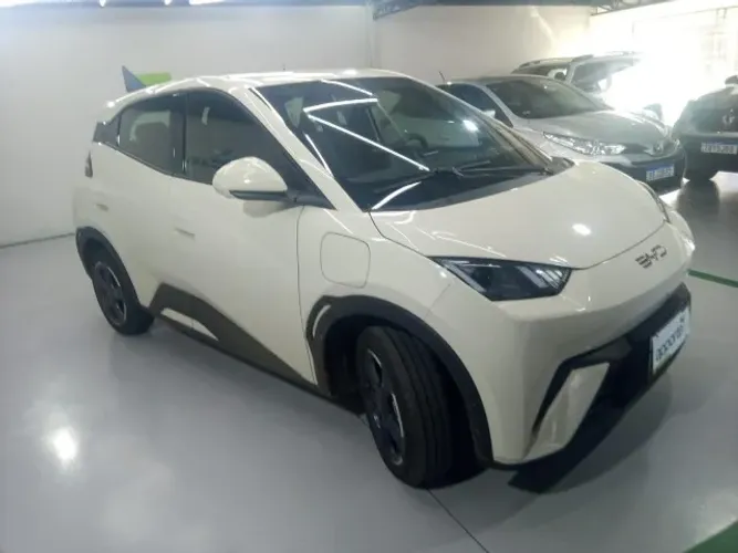 BYD Dophin Mini, mensal ou Aplicativo