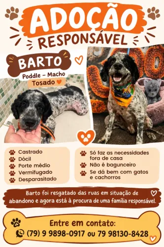 PARA ADOÇÃO RESPONSÁVEL