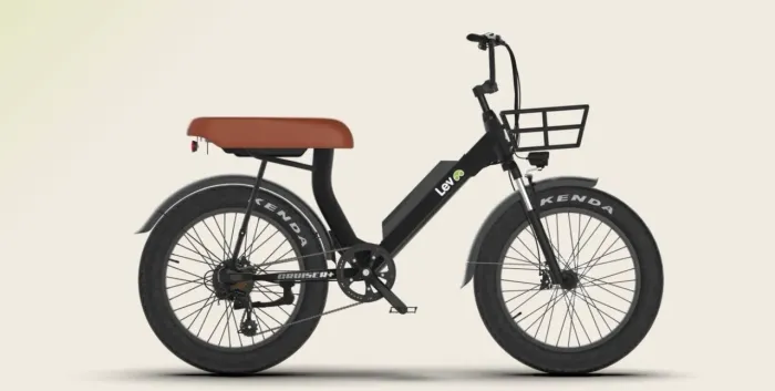 Lev Cruiser S+ - Excelente