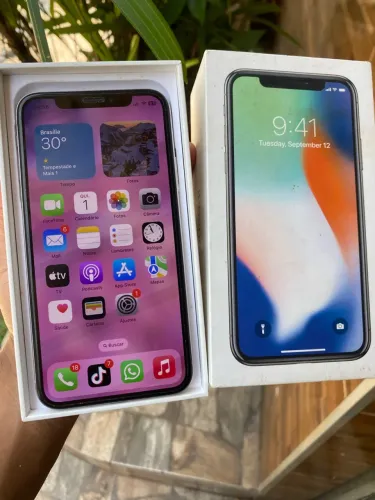 iPhone X
