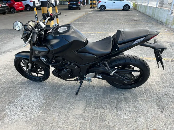 Mt 03 2024