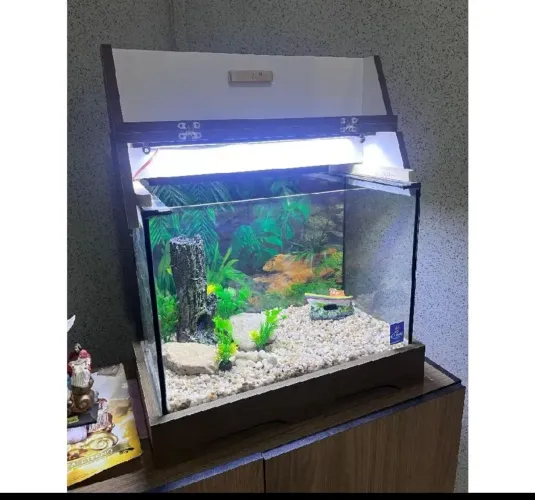 Aquário 300l