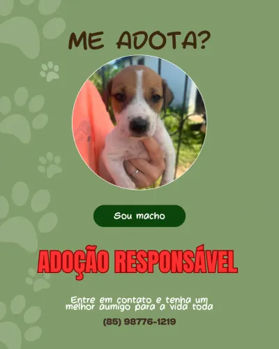 ADOÇÃO RESPONSÁVEL