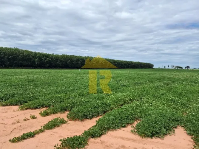 Oportunidade Única: Sitio à Venda em Tanabi-SP, Bairro do Sapé, com 2,5 Alqueires
