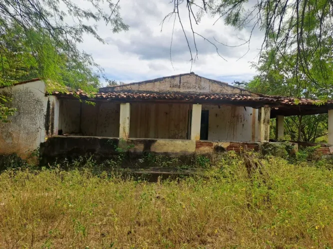 Vendo 150 hectares