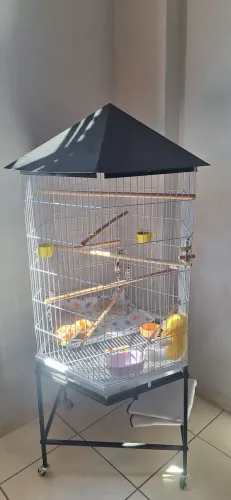 Gaiola para pássaros grande