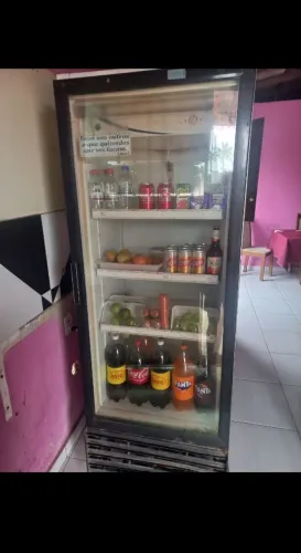 Freezer vertical