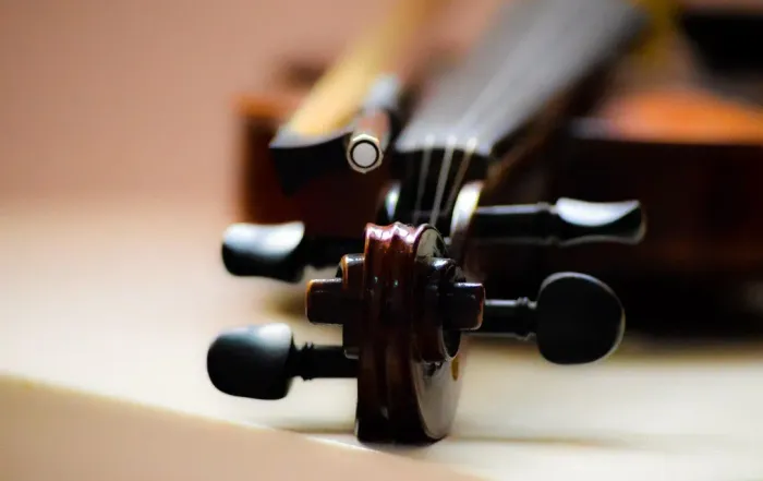Violino- Aulas Particulares
