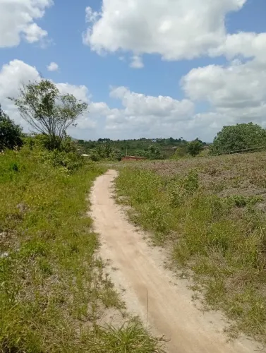 Terreno em chã grande