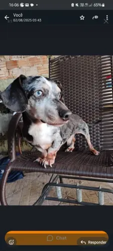 doação