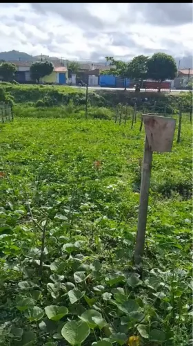 Terreno no Loteamento Santa Maria Madalena