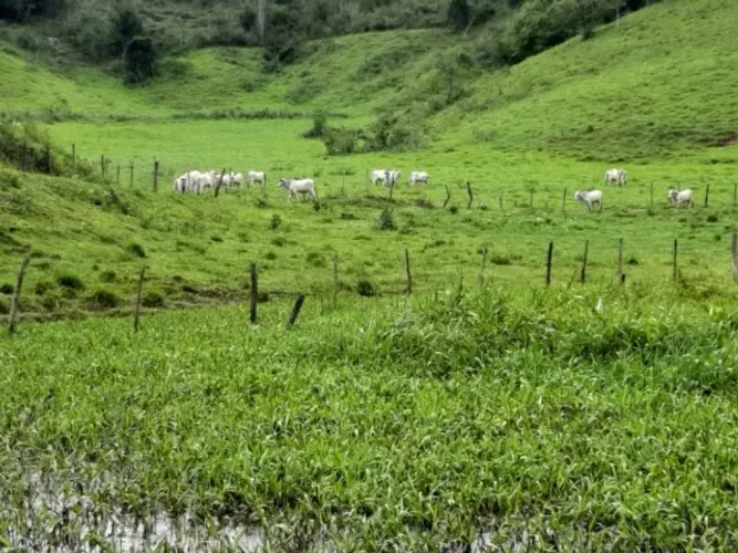 Cantagalo - Fazenda com 57 alqueires fluminenses