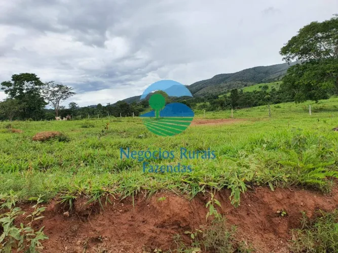 Fazenda a venda em Goiás 1.210 Hectares ou 250 Alqueires