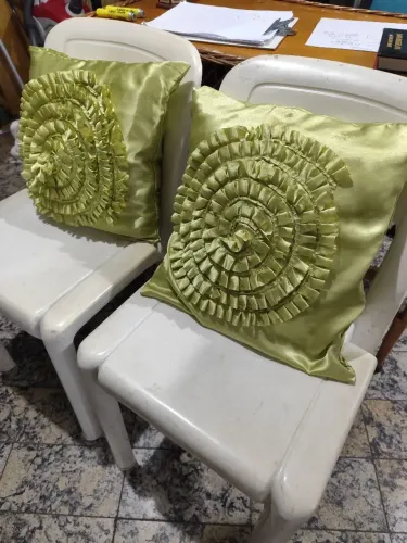 2 Almofadas Decorativas com capas