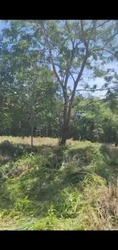 Excelente Rancho na Serra da Mesa