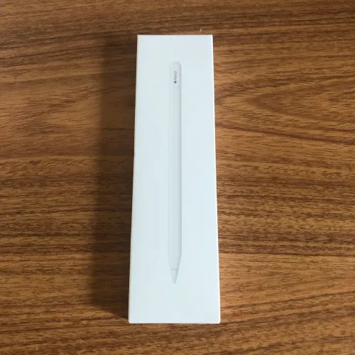 Apple Pencil USB-C para iPad 10 e iPad 11 Nova e Lacrada