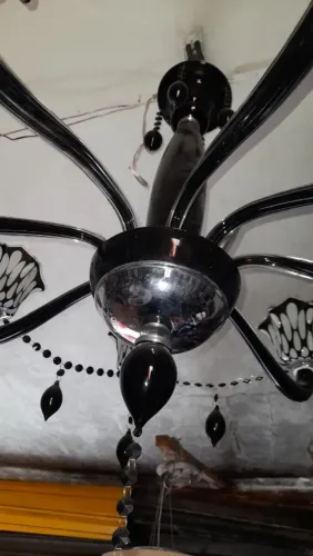 Lustre Moderno Preto com Detalhes em Cristal