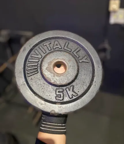 Pesos Anilha