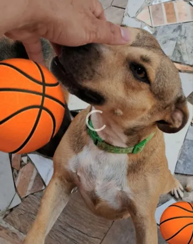 DOAÇAO