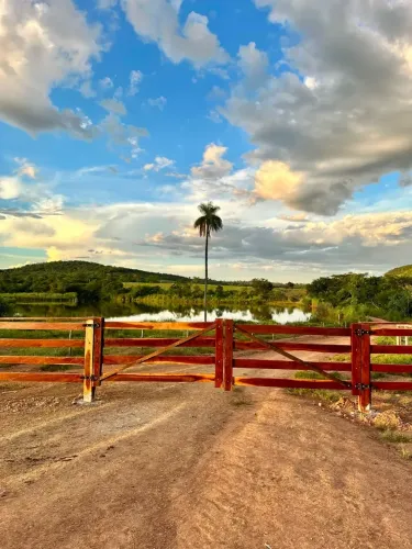 FAZENDA 1.700 HECTARES EM SÃO DOMINGOS-GO | 85 PASTOS | CONFINAMENTO 800 CABEÇAS | ENTRADA