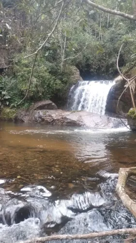 SÍTIO RICO EM ÁGUA, CAPIM BRAQUIÁRIA, SANTA RITA DE JACUTINGA-MG 127HA (R$37 mil/alqueire)
