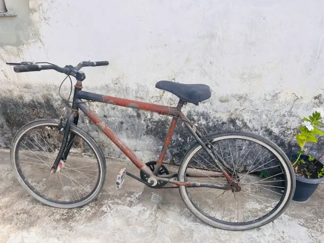 Bicicleta