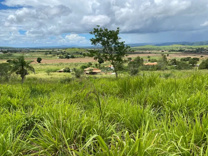 Sítio para vender, 3 tarefas (incluindo uma casa)