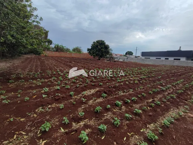 Terreno amplo à venda em ótima localização, BOM PRINCÍPIO DO OESTE, TOLEDO - PR