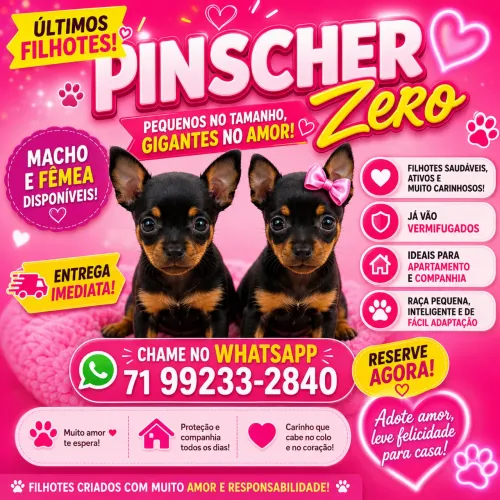Pinscher zero
