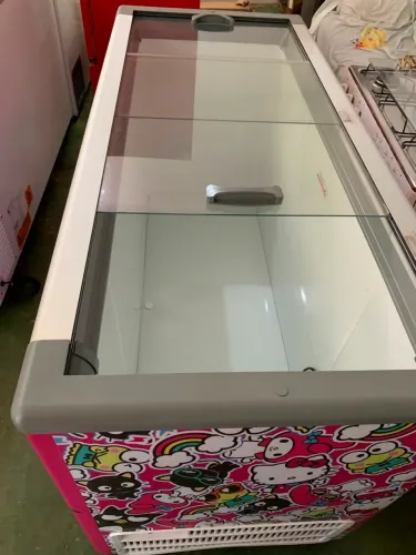 Freezer horizontal