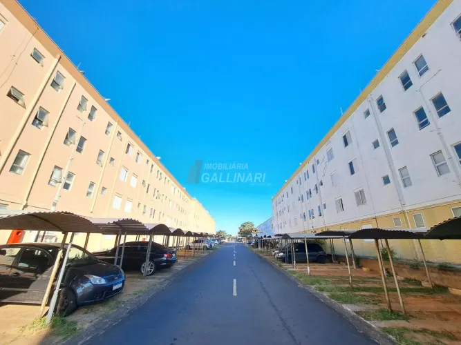 apartamento - Vila Padre Manoel de Nóbrega - Campinas