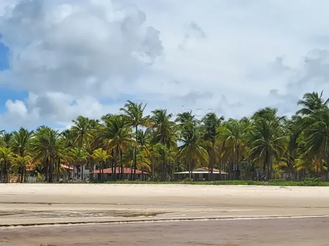 Sítio à Beira-Mar com 5,01 hectare à venda em Coruripe