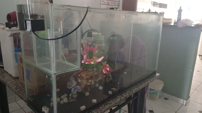 Aquário 72L com bomba