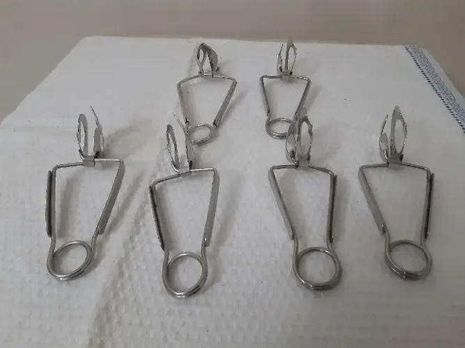 Pinças para scargot inox wolff