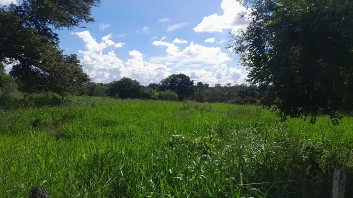 50 hectares a venda em ANASTÁCIO saída pra Campo Grande/MS