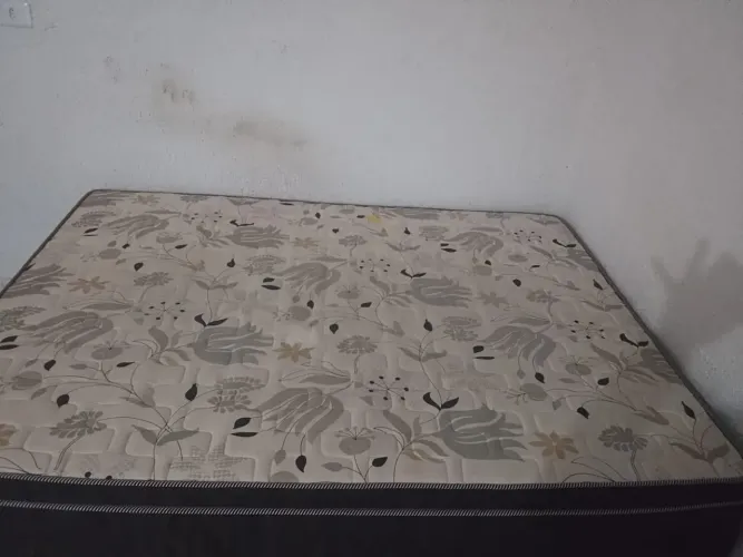 Estou de mudança, para vender hoje : televisão, ventilador , cama Box-casal , mesa e cad