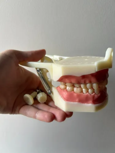 Vendo manequim odontológico 