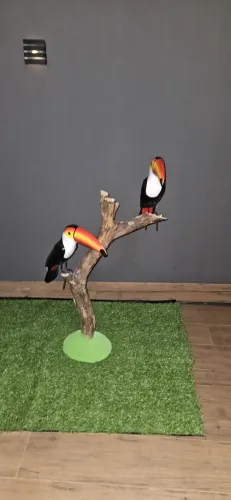 Decoração de anbiente externo