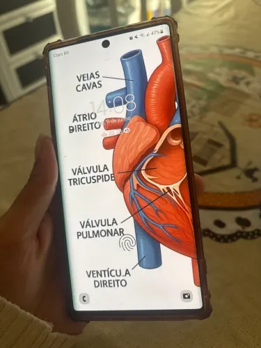 Celular