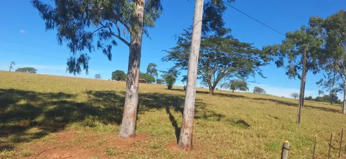 PECUÁRIA - Área Rural 15 Alqueires
