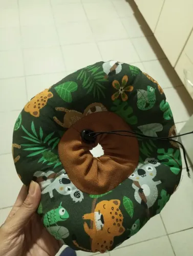 Colar elisabetano tecido gato