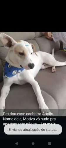 Doação 