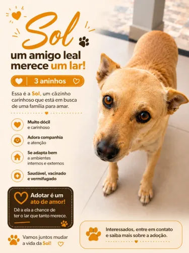 Adoção responsável.