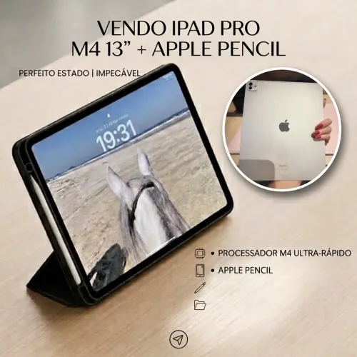 Ipad Pro M4 13? 256gb (Wi-Fi + celular 5G) + Apple Pencil